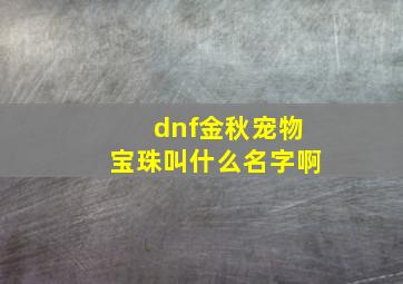 dnf金秋宠物宝珠叫什么名字啊