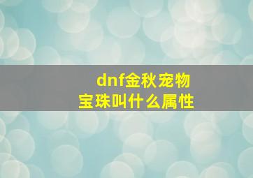 dnf金秋宠物宝珠叫什么属性