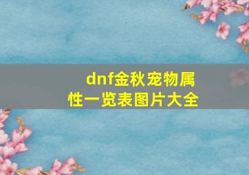 dnf金秋宠物属性一览表图片大全