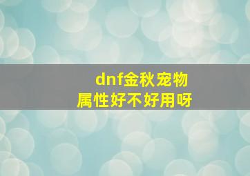 dnf金秋宠物属性好不好用呀