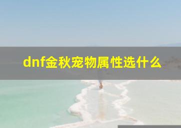 dnf金秋宠物属性选什么