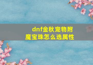 dnf金秋宠物附魔宝珠怎么选属性