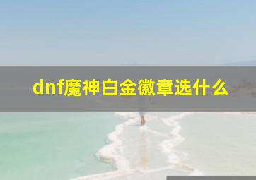 dnf魔神白金徽章选什么