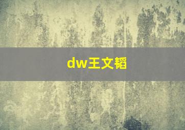 dw王文韬