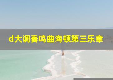 d大调奏鸣曲海顿第三乐章