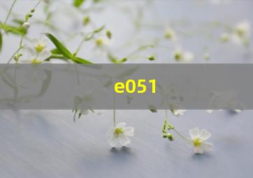 e051