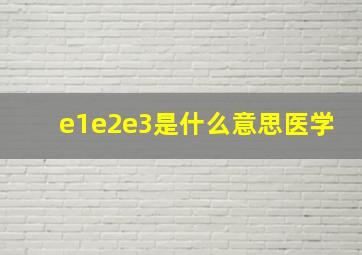 e1e2e3是什么意思医学