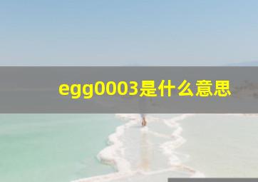 egg0003是什么意思