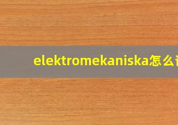 elektromekaniska怎么读