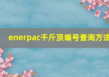 enerpac千斤顶编号查询方法