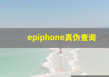 epiphone真伪查询