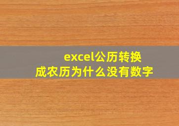 excel公历转换成农历为什么没有数字