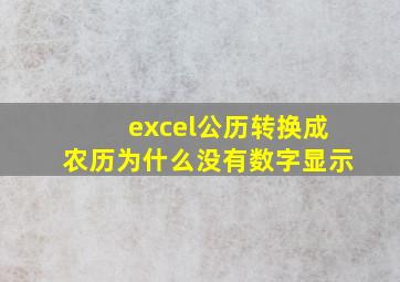 excel公历转换成农历为什么没有数字显示