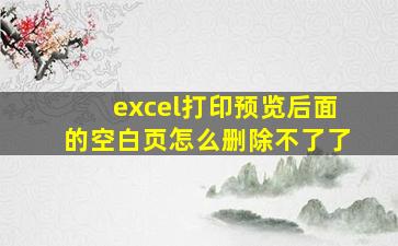 excel打印预览后面的空白页怎么删除不了了