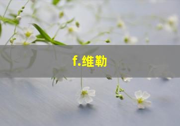 f.维勒