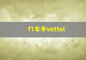 f1车手vettel