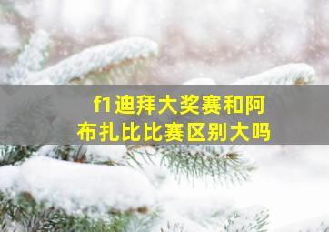 f1迪拜大奖赛和阿布扎比比赛区别大吗