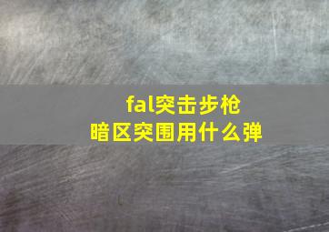 fal突击步枪暗区突围用什么弹