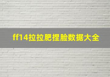 ff14拉拉肥捏脸数据大全