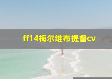 ff14梅尔维布提督cv