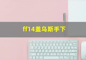 ff14盖乌斯手下