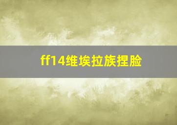 ff14维埃拉族捏脸