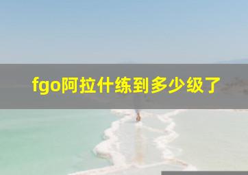 fgo阿拉什练到多少级了