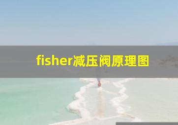 fisher减压阀原理图