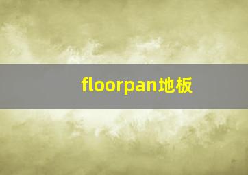 floorpan地板