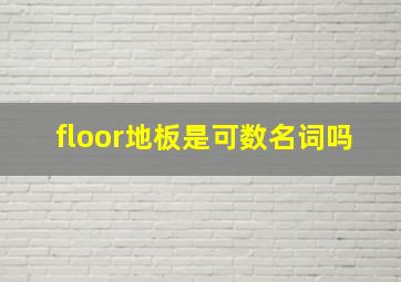 floor地板是可数名词吗