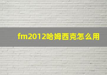 fm2012哈姆西克怎么用