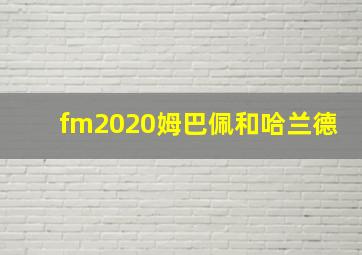 fm2020姆巴佩和哈兰德