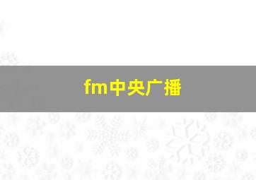 fm中央广播