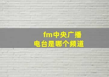 fm中央广播电台是哪个频道