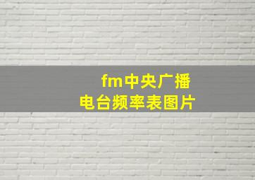 fm中央广播电台频率表图片