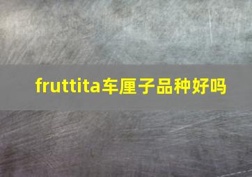 fruttita车厘子品种好吗