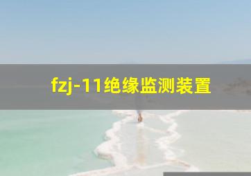 fzj-11绝缘监测装置