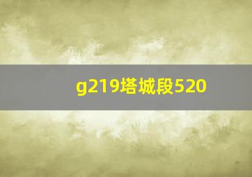 g219塔城段520