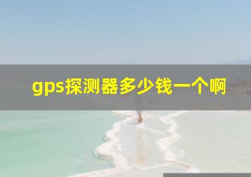 gps探测器多少钱一个啊