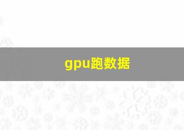 gpu跑数据