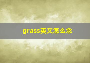 grass英文怎么念