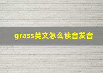 grass英文怎么读音发音