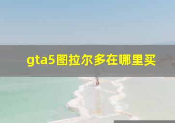 gta5图拉尔多在哪里买