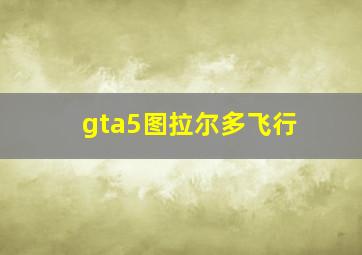 gta5图拉尔多飞行