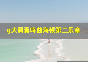 g大调奏鸣曲海顿第二乐章