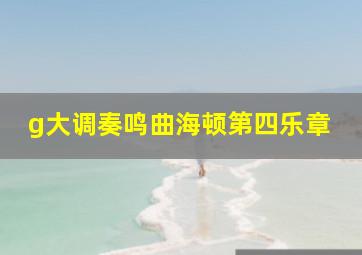 g大调奏鸣曲海顿第四乐章