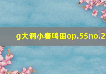 g大调小奏鸣曲op.55no.2