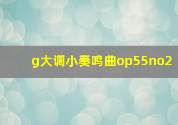 g大调小奏鸣曲op55no2