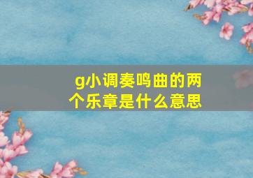 g小调奏鸣曲的两个乐章是什么意思