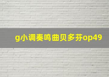 g小调奏鸣曲贝多芬op49